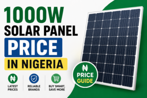 1000w solar panel price in nigeria​
