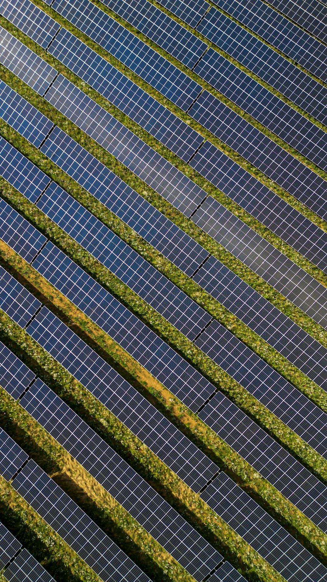 Aerial view of a utility-scale solar photovoltaic field with long rows of panels